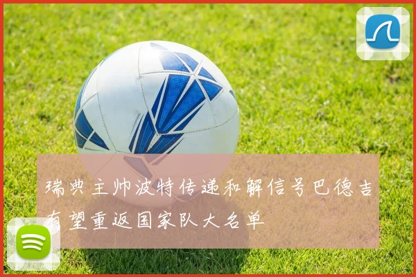瑞典主帅波特传递和解信号巴德吉有望重返国家队大名单
