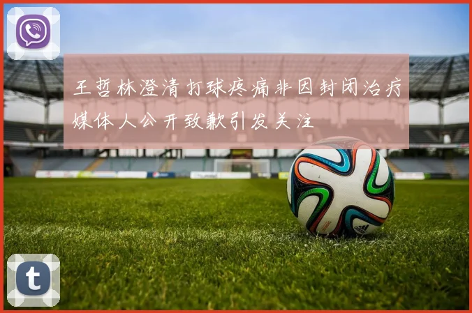 王哲林澄清打球疼痛非因封闭治疗媒体人公开致歉引发关注