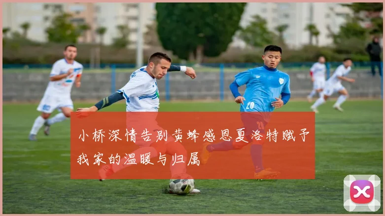 小桥深情告别黄蜂感恩夏洛特赋予我家的温暖与归属