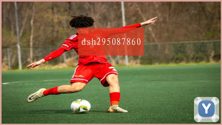 dsh295087860